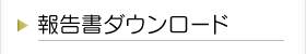 報告書ダウンロード